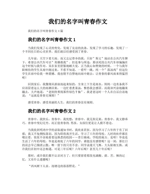 我们的名字叫青春作文