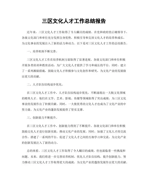 三区文化人才工作总结报告