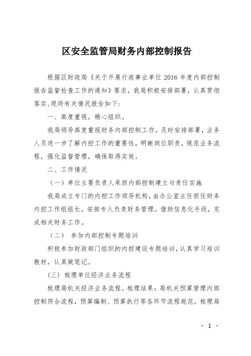 区安全监管局财务内部控制报告