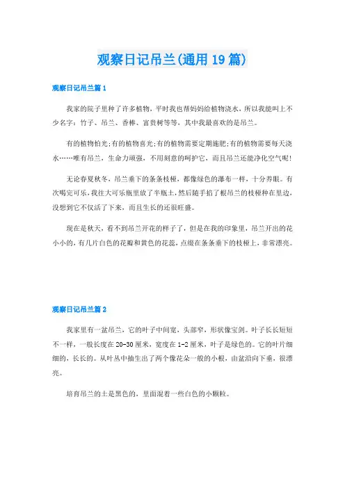 观察日记吊兰(通用19篇)