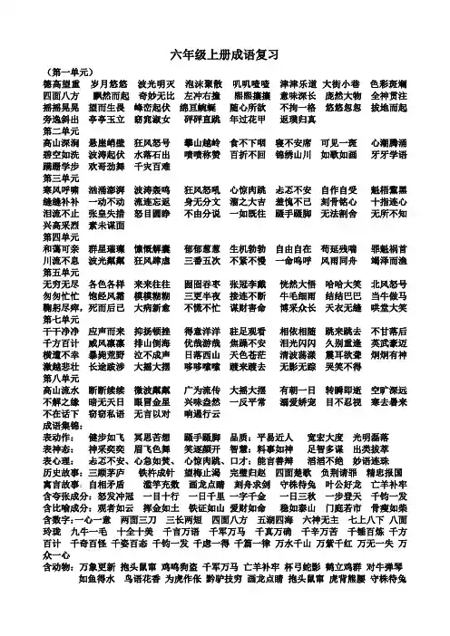 人教版六年级成语复习