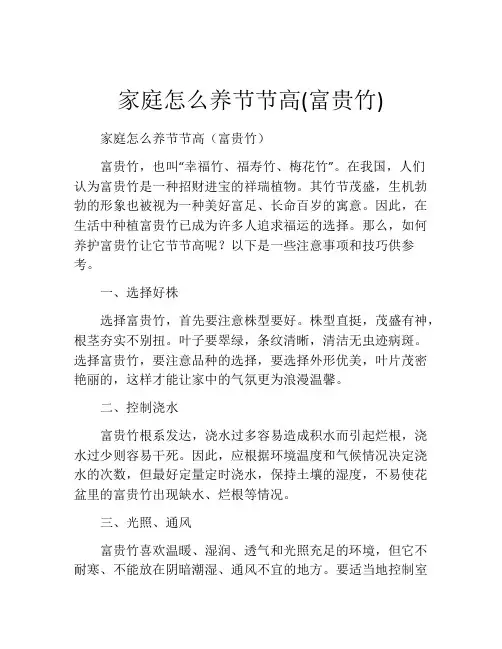 家庭怎么养节节高(富贵竹)