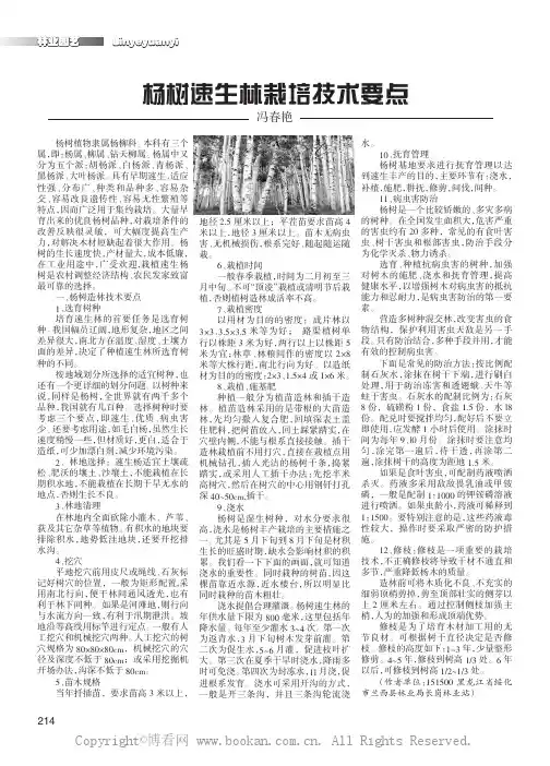 杨树速生林栽培技术要点