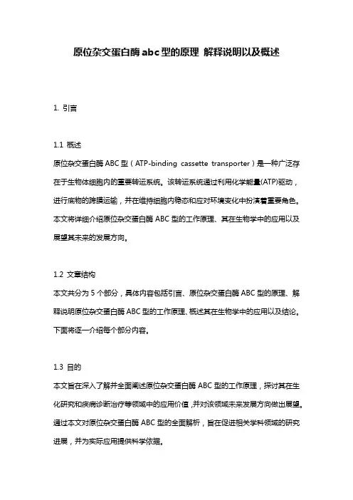 原位杂交蛋白酶abc型的原理_解释说明以及概述