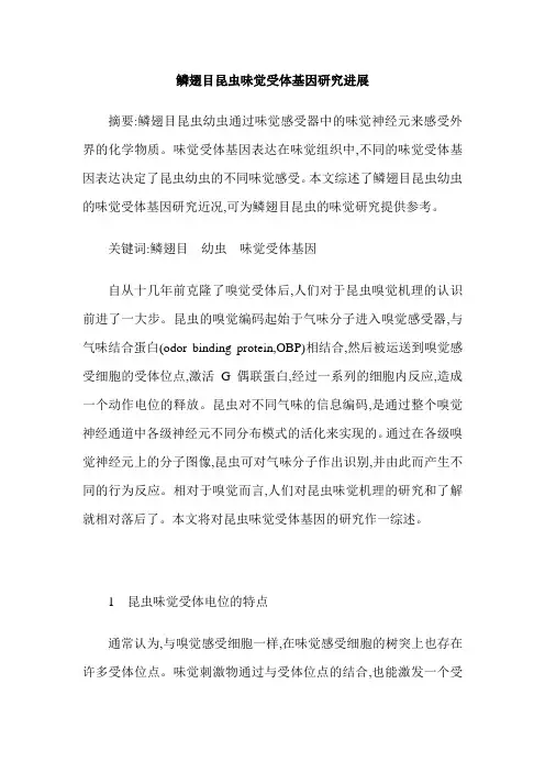 鳞翅目昆虫味觉受体基因研究进展