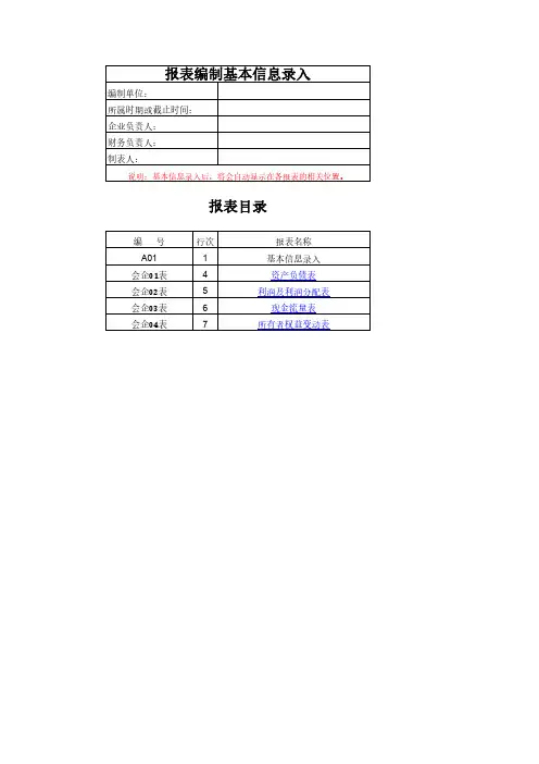 财务报表分析-excel模板