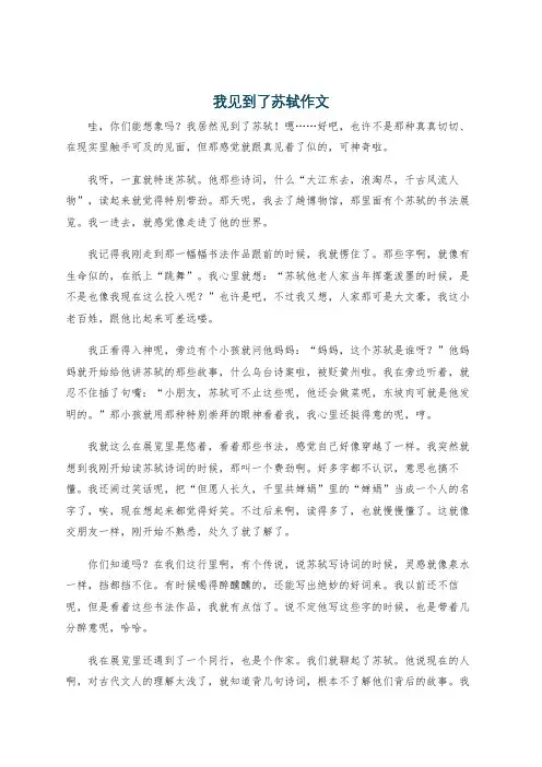 我见到了苏轼作文