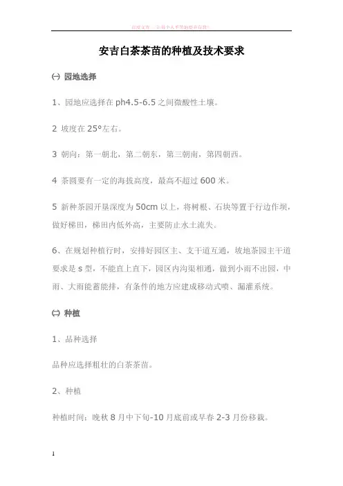 安吉白茶茶苗的种植及技术要求
