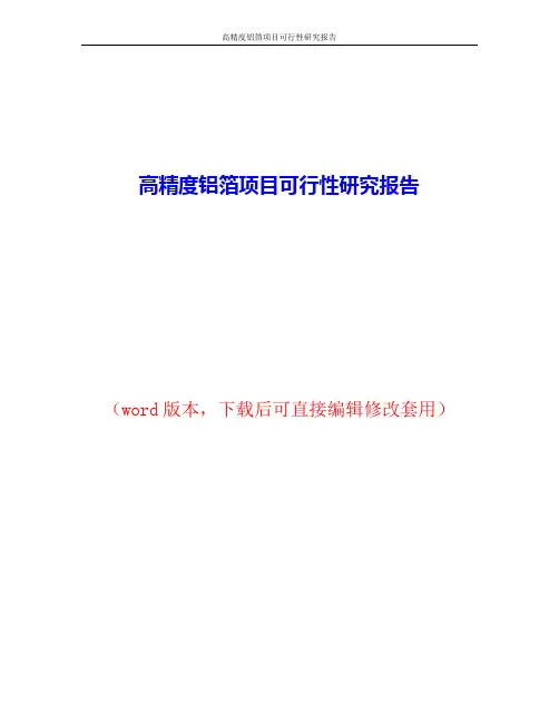 高精度铝箔项目可行性研究报告word版本