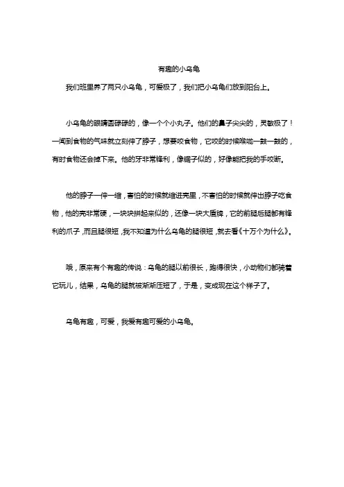 有趣的小乌龟