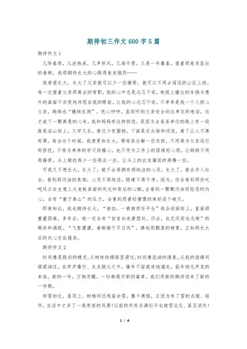 期待初三作文600字5篇