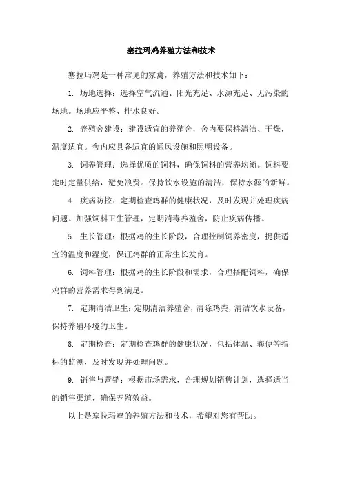 塞拉玛鸡养殖方法和技术