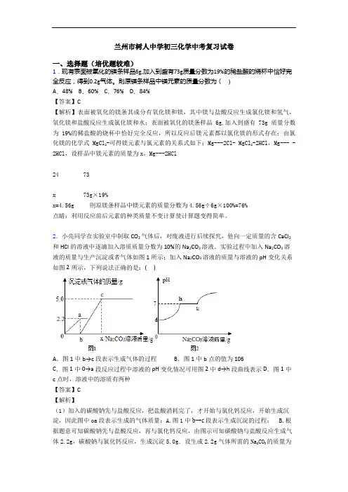 兰州市树人中学初三化学中考复习试卷