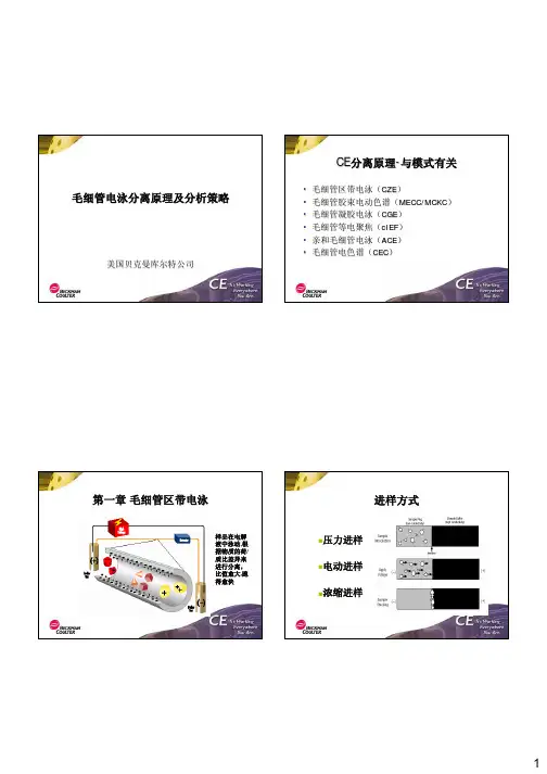 毛细管电泳原理及分析策略