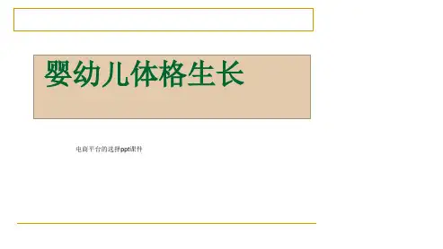 电商平台的选择ppt课件
