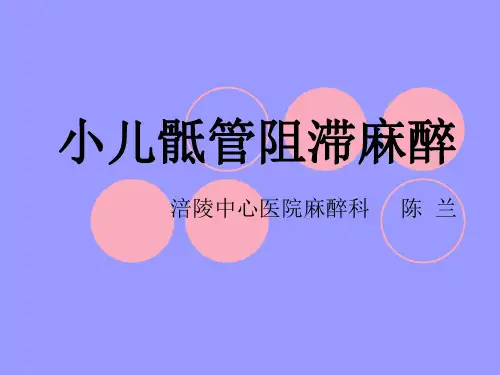 小儿骶管阻滞PPT课件