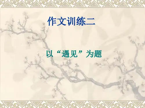 遇见作文讲评(正式)) PPT课件(共45张)