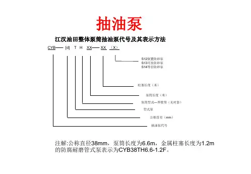 常用采油管柱图共31页文档