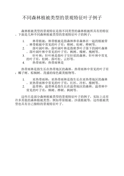 不同森林植被类型的景观特征叶子例子