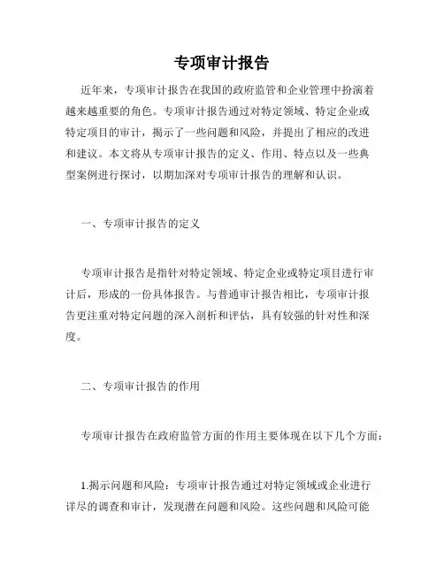 专项审计报告