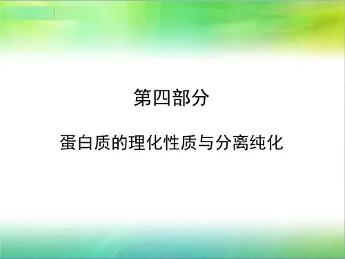蛋白质化学：第四部分