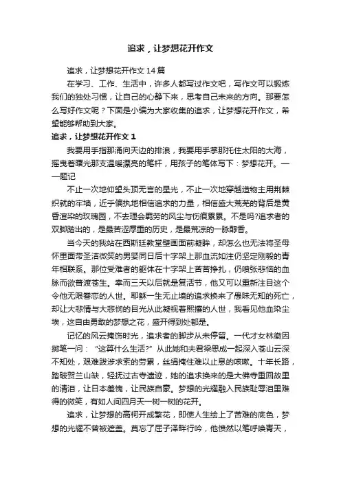 追求，让梦想花开作文14篇