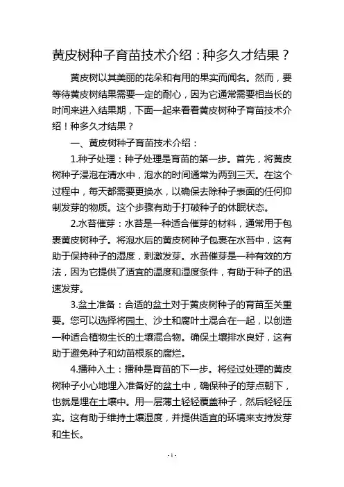 黄皮树种子育苗技术介绍：种多久才结果？