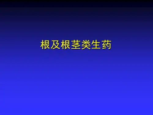 根及根茎类生药