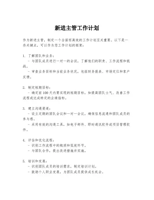 新进主管工作计划