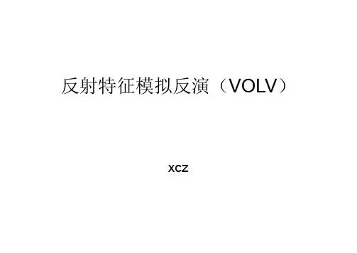 反射特征模拟反演(VOLV或贝叶斯反演)1