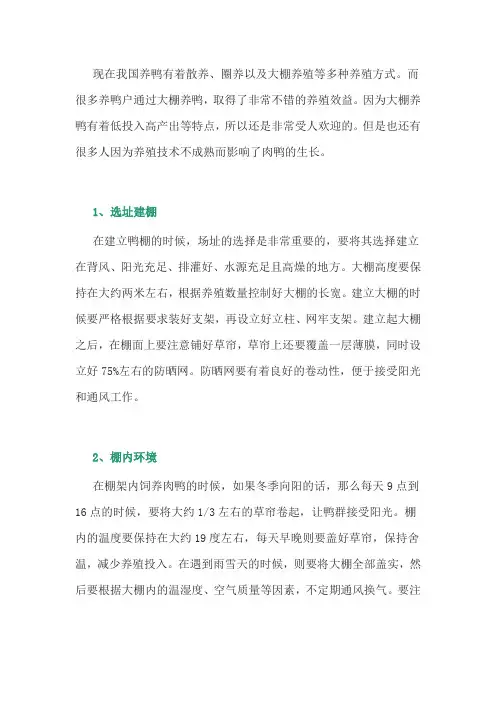 养鸭经验：大棚养鸭技术要点