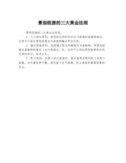 景别组接的三大黄金法则
