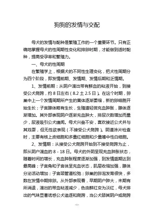 狗狗的发情与交配