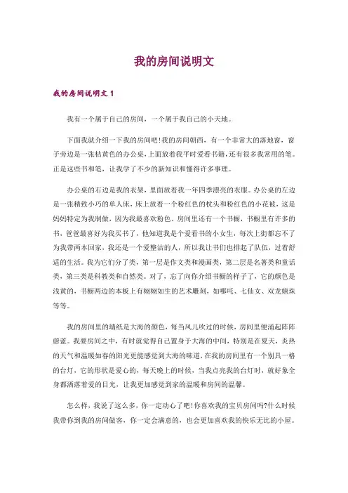 我的房间说明文