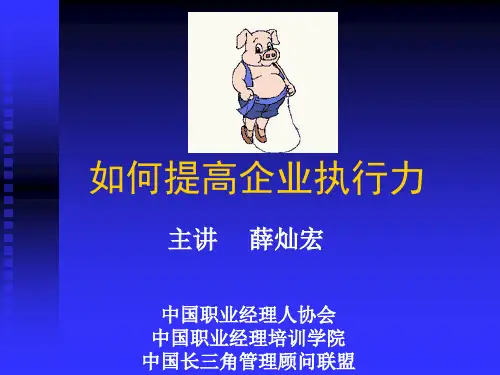如何提高企业执行力(PPT48页).pptx