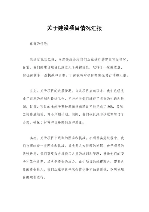 关于建设项目情况汇报