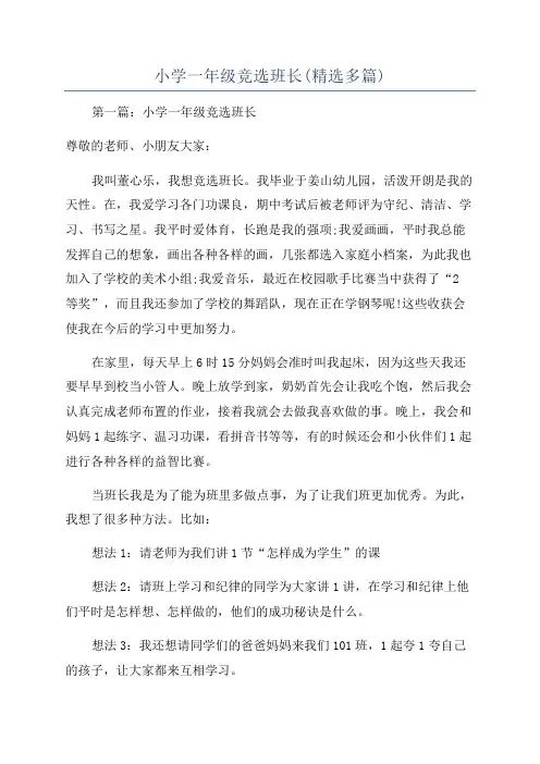 小学一年级竞选班长(精选多篇)