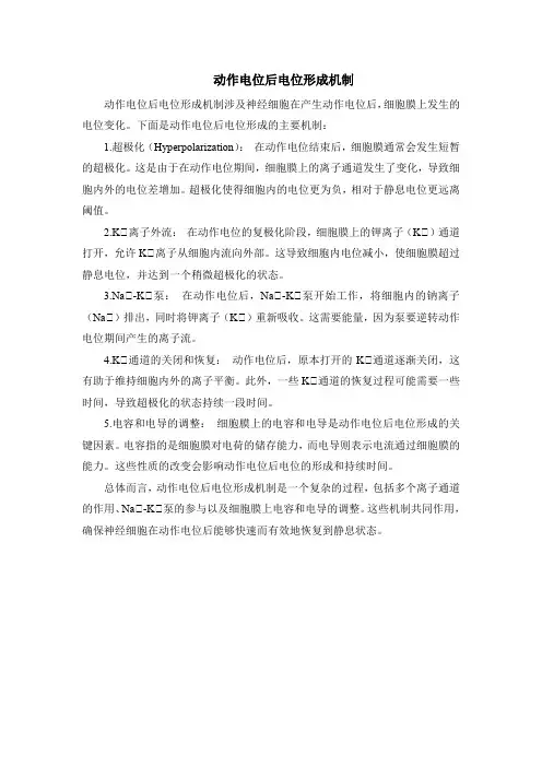 动作电位后电位形成机制