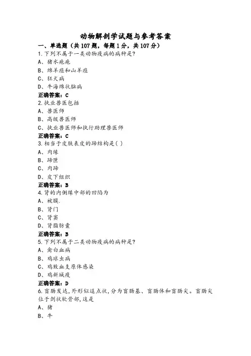 动物解剖学试题与参考答案