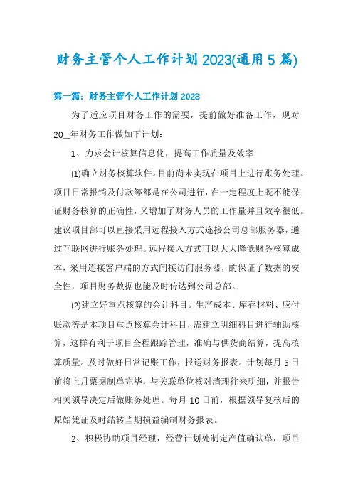 财务主管个人工作计划2023(通用5篇)