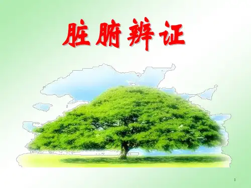 心与小肠病辨证