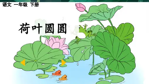 12荷叶圆圆 课件(共22张PPT)