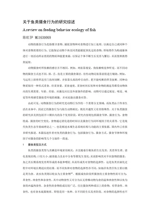 鱼的行为学综述