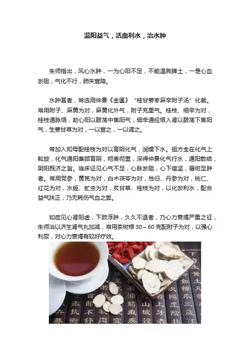 温阳益气，活血利水，治水肿