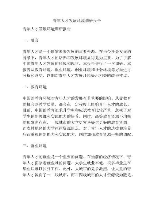 青年人才发展环境调研报告