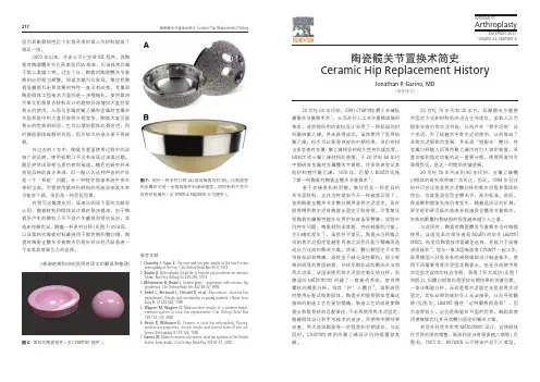 陶瓷全髋关节置换术