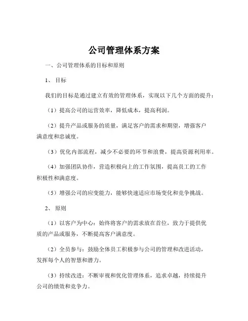 公司管理体系方案