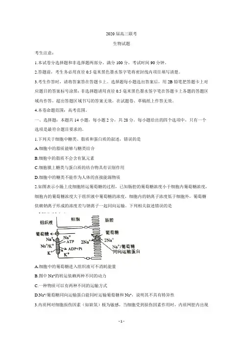 山东省菏泽市2020届高三联合模拟考试(一模)生物试题含答案
