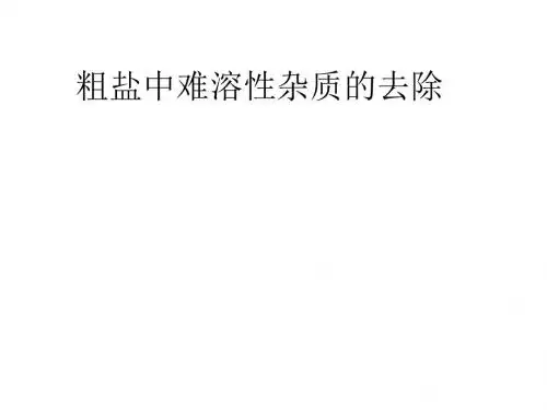 活动粗盐的提取