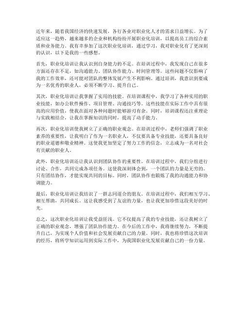 就职业化培训感想